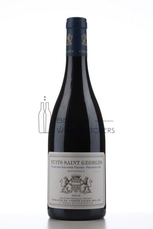 Image de 2013 NUITS ST GEORGES CLOS DES GRANDES VIGNES